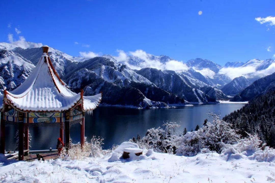 竞技宝one